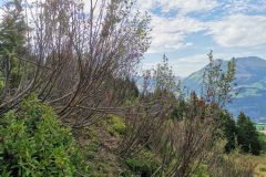 IMG_20230814_174601