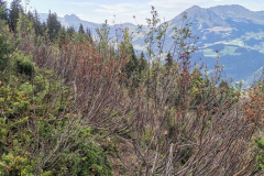 IMG_20230814_174646